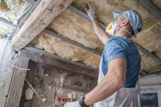 Best Insulation Replacement Services  in Pleasureville, KY
