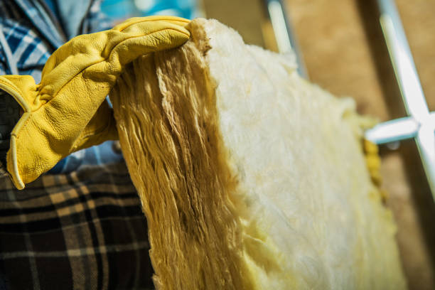 Attic Insulation Near Me in Pleasureville, KY