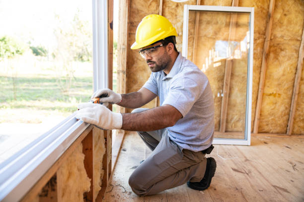Best Insulation Removal  in Pleasureville, KY