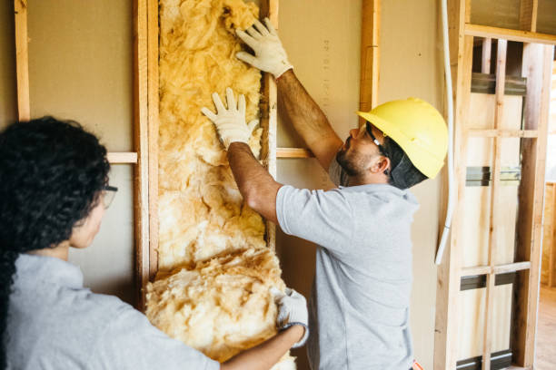 Best Garage Insulation Installation  in Pleasureville, KY