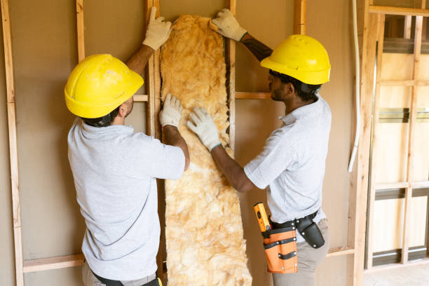 Best Home Insulation Services  in Pleasureville, KY