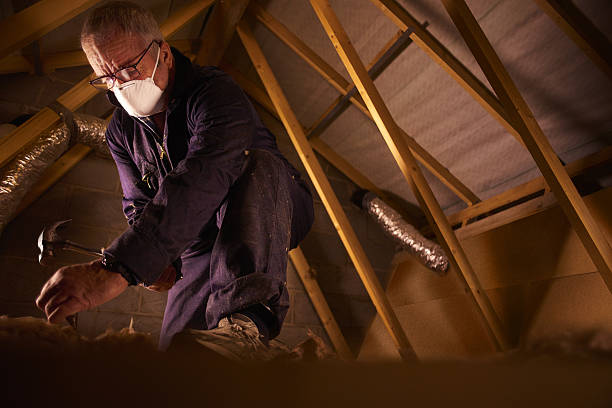 Insulation Replacement Services in Pleasureville, KY